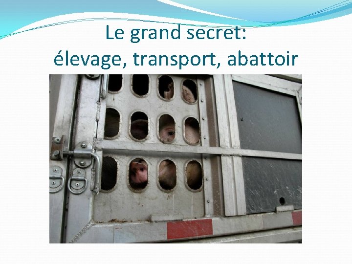 Le grand secret: élevage, transport, abattoir 