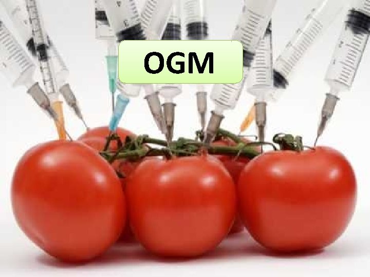 OGM 