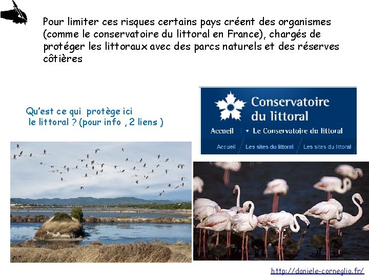 Pour limiter ces risques certains pays créent des organismes (comme le conservatoire du littoral