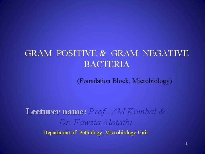 GRAM POSITIVE & GRAM NEGATIVE BACTERIA (Foundation Block, Microbiology) Lecturer name: Prof. AM Kambal