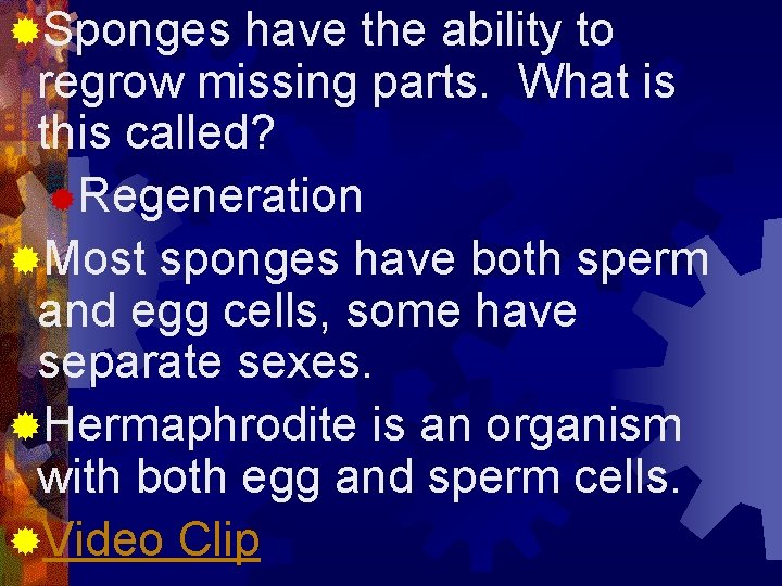 ®Sponges have the ability to regrow missing parts. What is this called? ®Regeneration ®Most