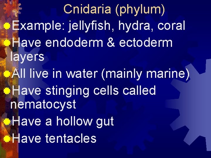 Cnidaria (phylum) ®Example: jellyfish, hydra, coral ®Have endoderm & ectoderm layers ®All live in