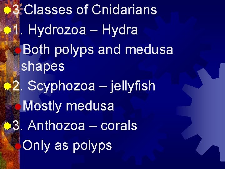 ® 3 Classes of Cnidarians ® 1. Hydrozoa – Hydra ®Both polyps and medusa