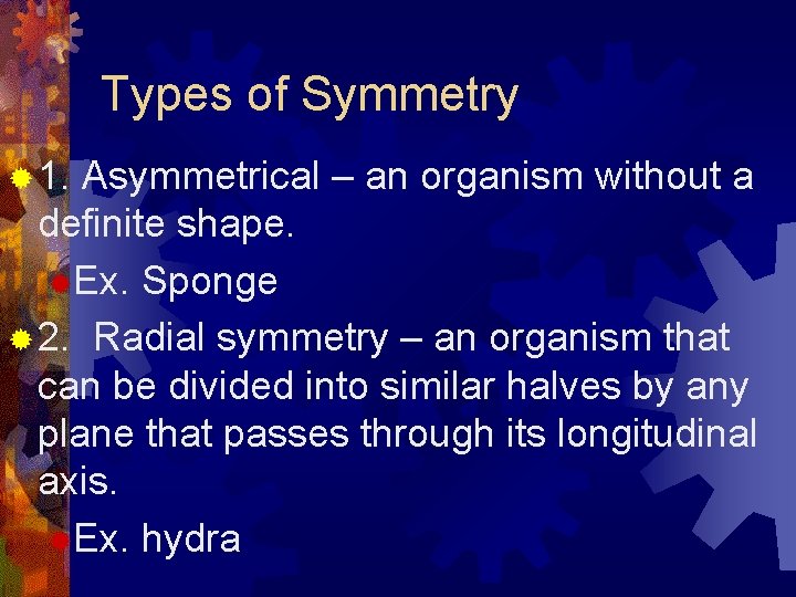 Types of Symmetry ® 1. Asymmetrical – an organism without a definite shape. ®Ex.