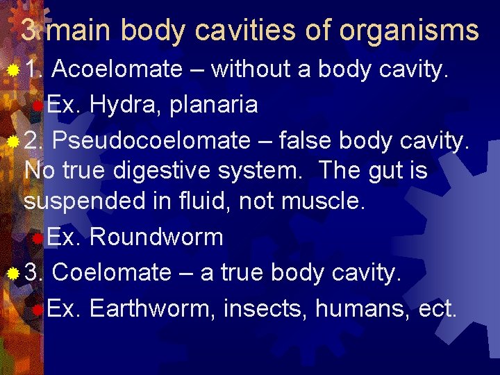 3 main body cavities of organisms ® 1. Acoelomate – without a body cavity.