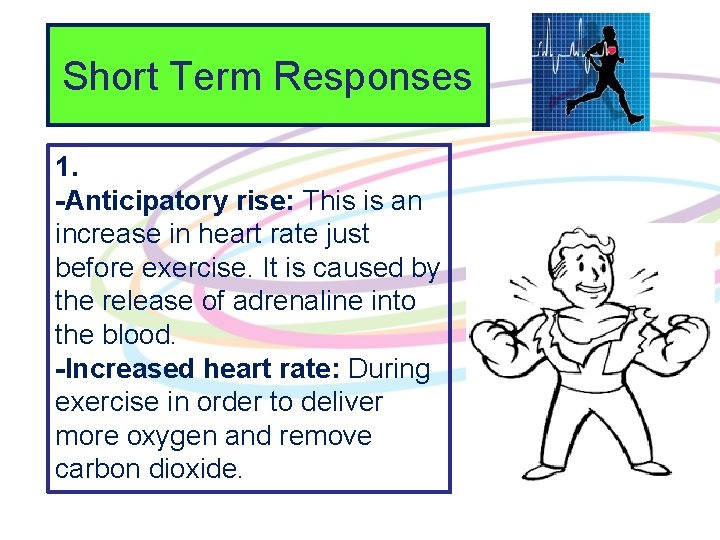 Short Term Responses 1. -Anticipatory rise: This is an increase in heart rate just