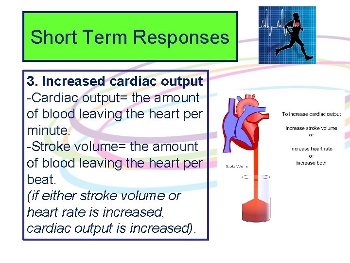 Short Term Responses 3. Increased cardiac output -Cardiac output= the amount of blood leaving