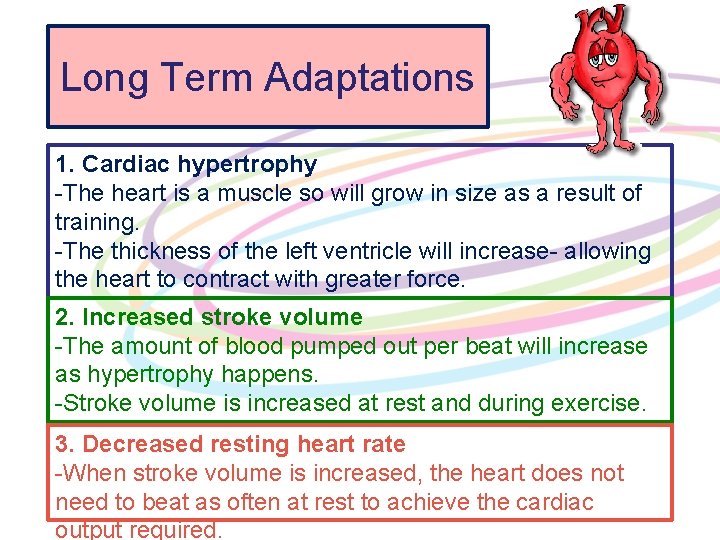 Long Term Adaptations 1. Cardiac hypertrophy -The heart is a muscle so will grow