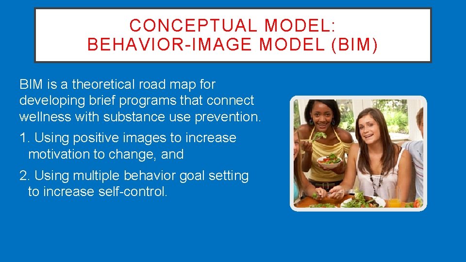 CONCEPTUAL MODEL: BEHAVIOR-IMAGE MODEL (BIM) BIM is a theoretical road map for developing brief