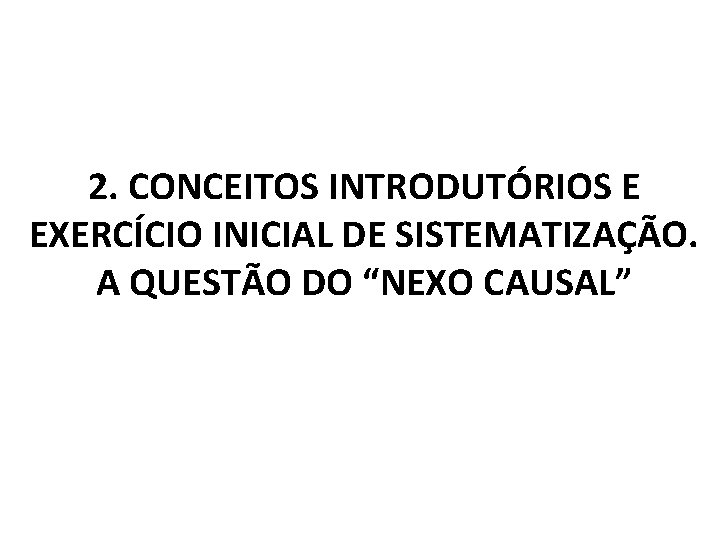 2. CONCEITOS INTRODUTÓRIOS E EXERCÍCIO INICIAL DE SISTEMATIZAÇÃO. A QUESTÃO DO “NEXO CAUSAL” 