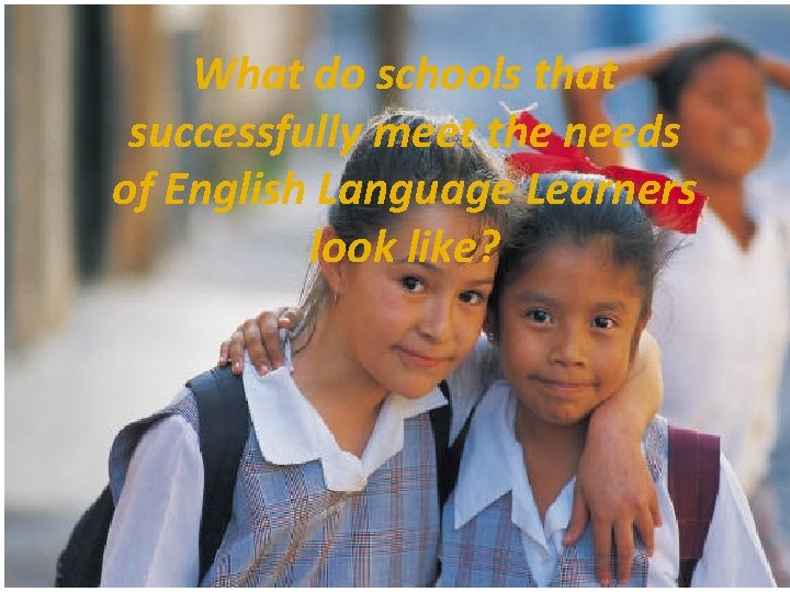 National Center on Response to Intervention What do schools that successfully meet the needs