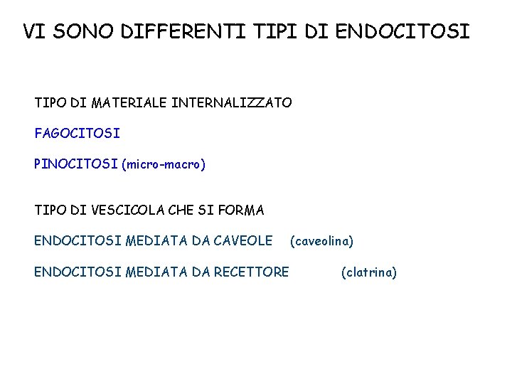 VI SONO DIFFERENTI TIPI DI ENDOCITOSI TIPO DI MATERIALE INTERNALIZZATO FAGOCITOSI PINOCITOSI (micro-macro) TIPO