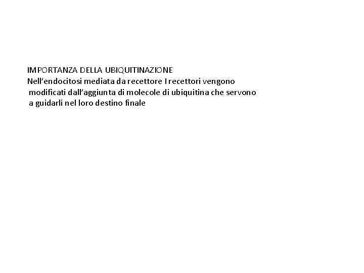 IMPORTANZA DELLA UBIQUITINAZIONE Nell’endocitosi mediata da recettore I recettori vengono modificati dall’aggiunta di molecole