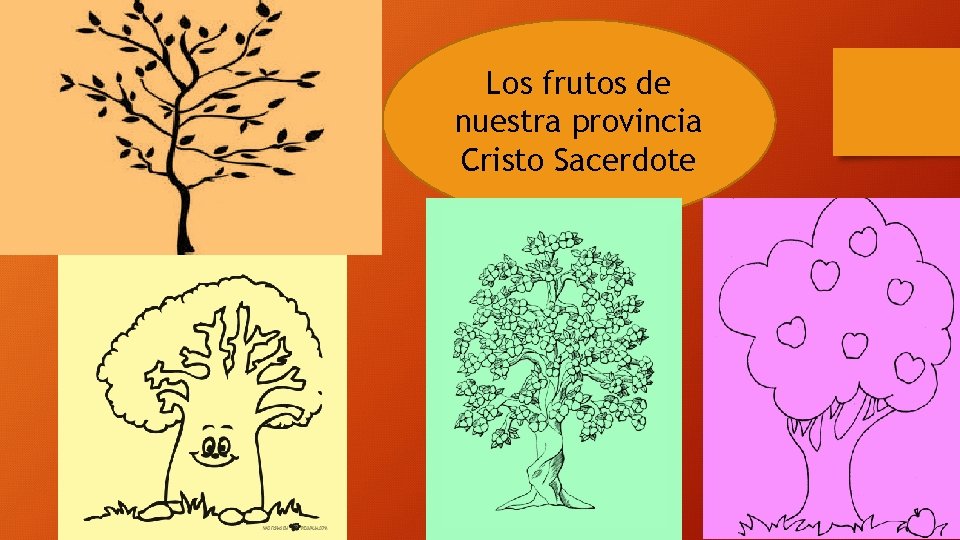 Los frutos de nuestra provincia Cristo Sacerdote 