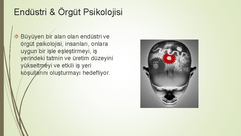 Endüstri & Örgüt Psikolojisi Büyüyen bir alan olan endüstri ve örgüt psikolojisi, insanları, onlara