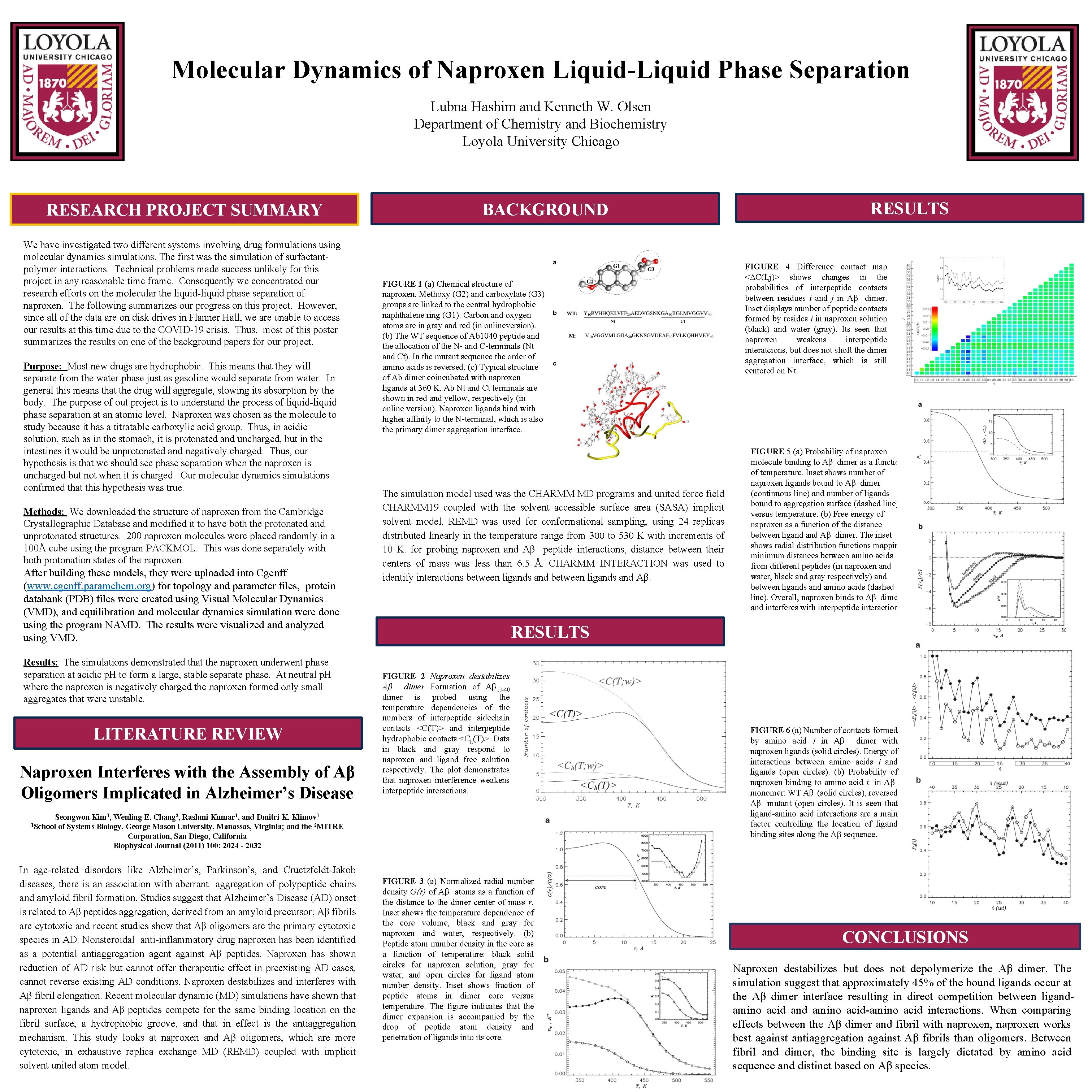 Molecular Dynamics of Naproxen Liquid-Liquid Phase Separation Lubna Hashim and Kenneth W. Olsen Department