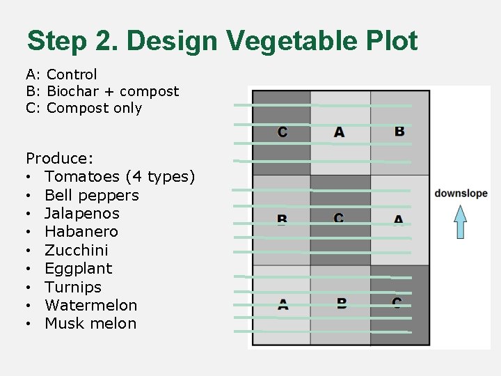 Step 2. Design Vegetable Plot A: Control B: Biochar + compost C: Compost only