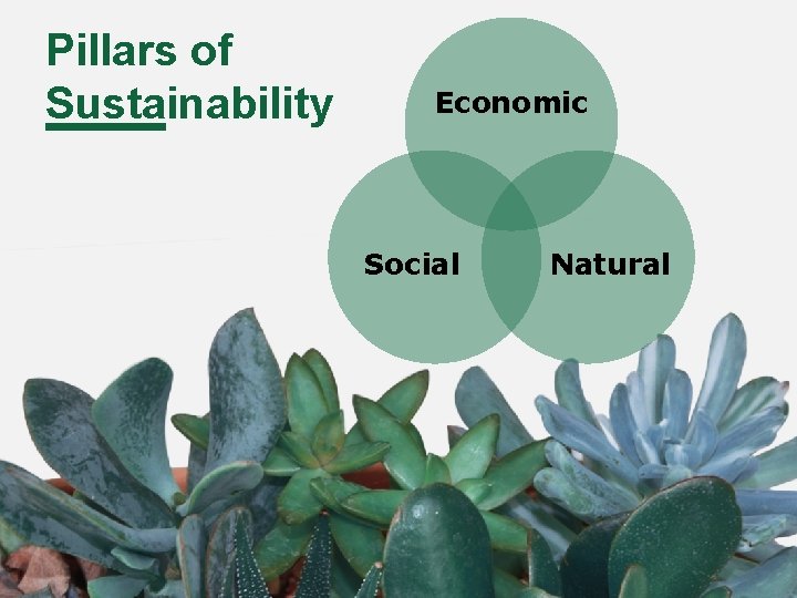 Pillars of Sustainability Economic Social Natural 