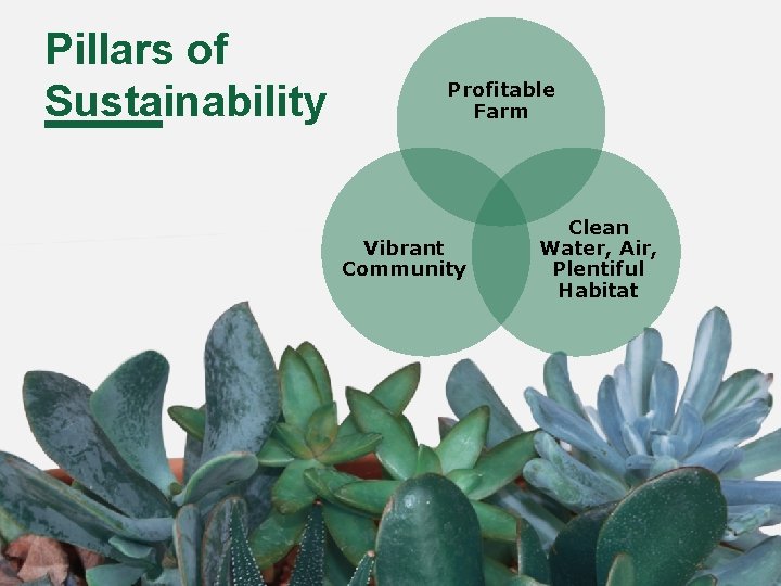 Pillars of Sustainability Profitable Farm Vibrant Community Clean Water, Air, Plentiful Habitat 