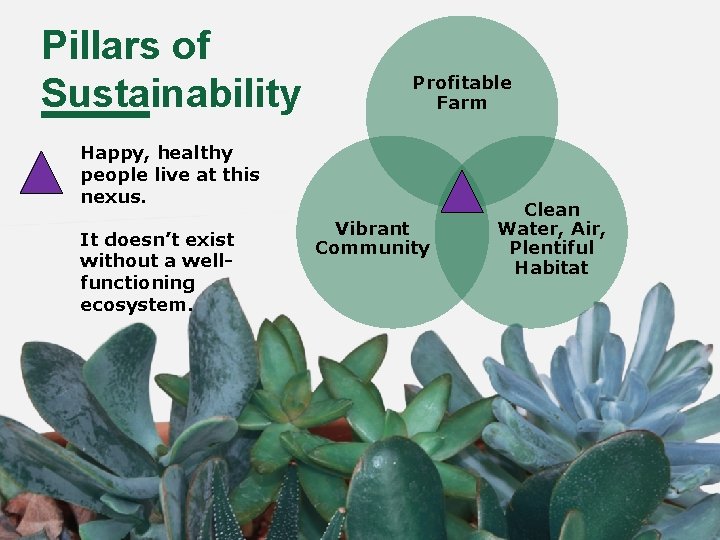 Pillars of Sustainability Profitable Farm Happy, healthy people live at this nexus. It doesn’t