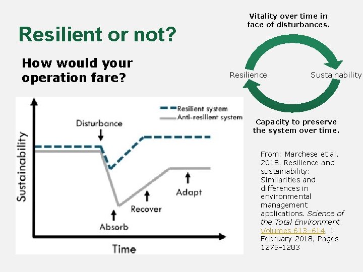 Resilient or not? How would your operation fare? Vitality over time in face of