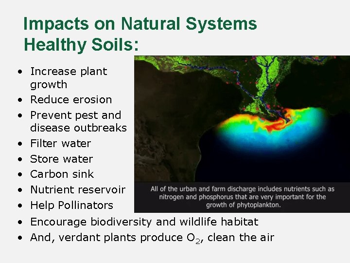 Impacts on Natural Systems Healthy Soils: • Increase plant growth • Reduce erosion •