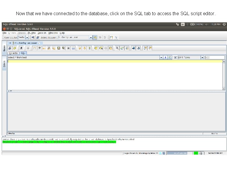 Now that we have connected to the database, click on the SQL tab to