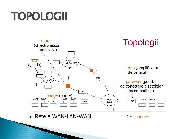 TOPOLOGII 