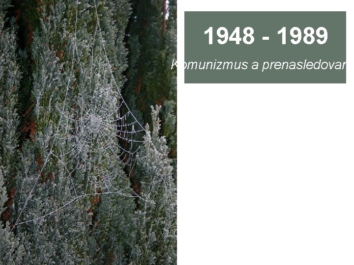 1948 - 1989 Komunizmus a prenasledovanie 