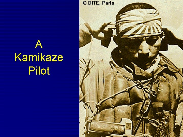 A Kamikaze Pilot 