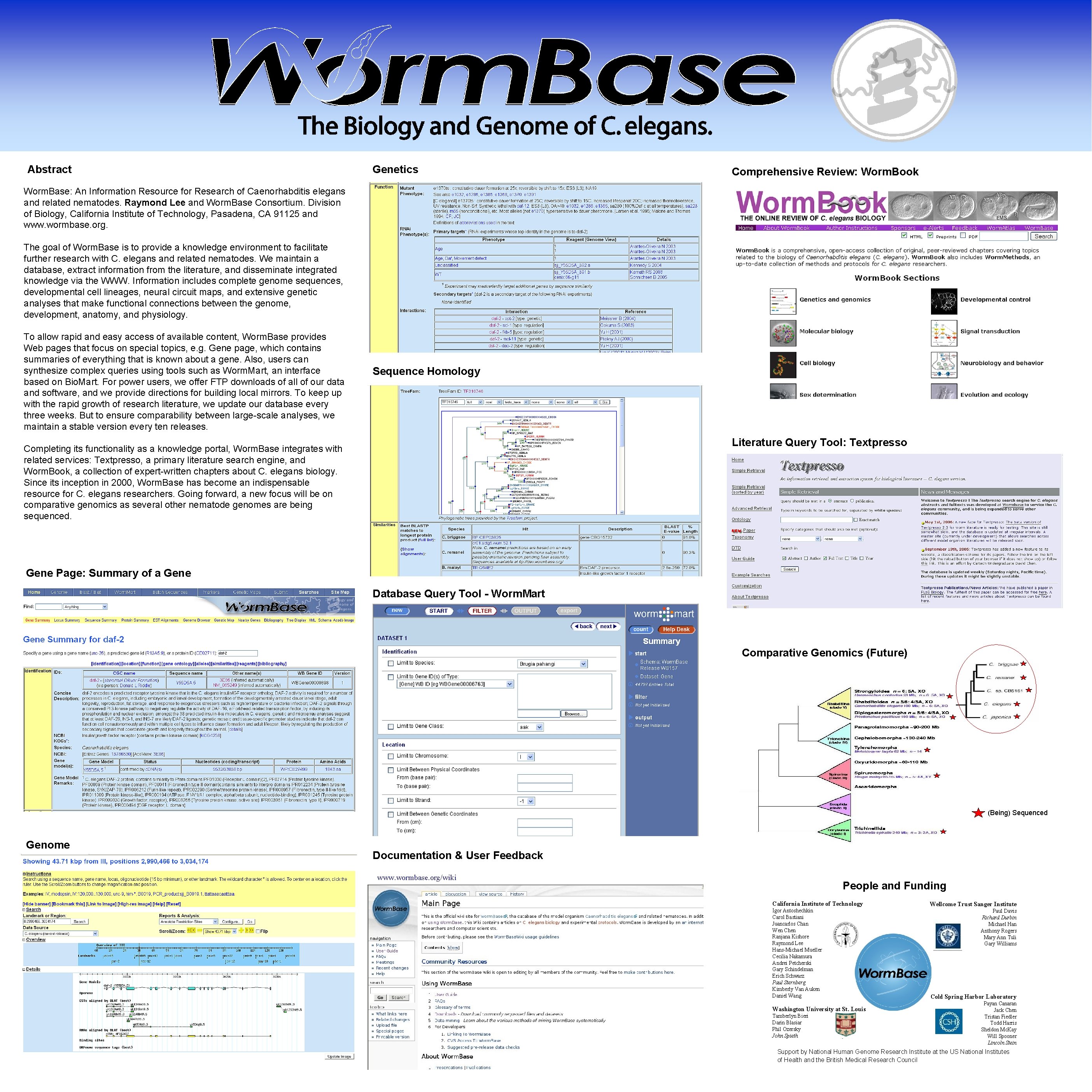 Abstract Genetics Comprehensive Review: Worm. Book Worm. Base: An Information Resource for Research of