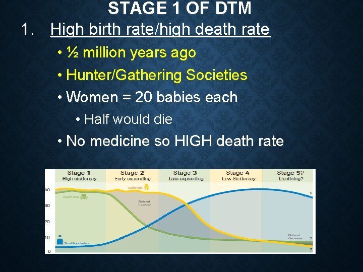 STAGE 1 OF DTM 1. High birth rate/high death rate • ½ million years