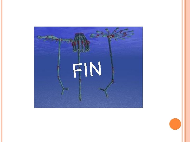 FIN 