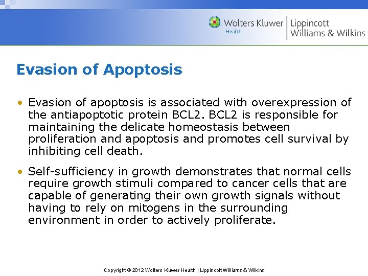 Evasion of Apoptosis • Evasion of apoptosis is associated with overexpression of the antiapoptotic