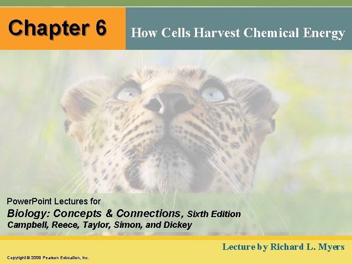 Chapter 6 How Cells Harvest Chemical Energy Power. Point Lectures for Biology: Concepts &