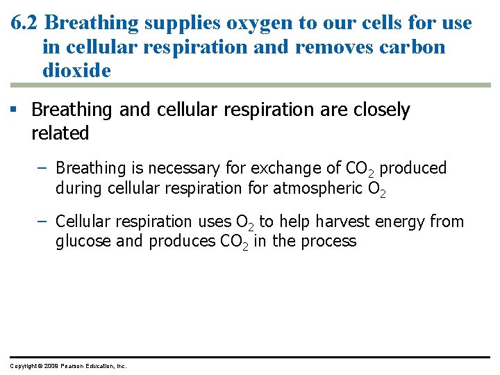 6. 2 Breathing supplies oxygen to our cells for use in cellular respiration and