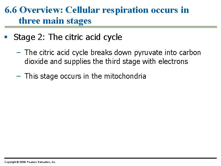 6. 6 Overview: Cellular respiration occurs in three main stages § Stage 2: The