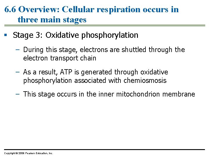 6. 6 Overview: Cellular respiration occurs in three main stages § Stage 3: Oxidative