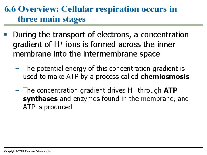 6. 6 Overview: Cellular respiration occurs in three main stages § During the transport