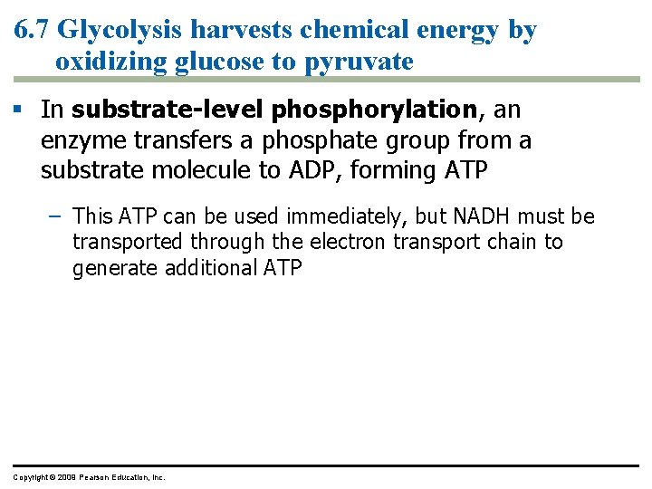 6. 7 Glycolysis harvests chemical energy by oxidizing glucose to pyruvate § In substrate-level