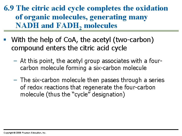 6. 9 The citric acid cycle completes the oxidation of organic molecules, generating many