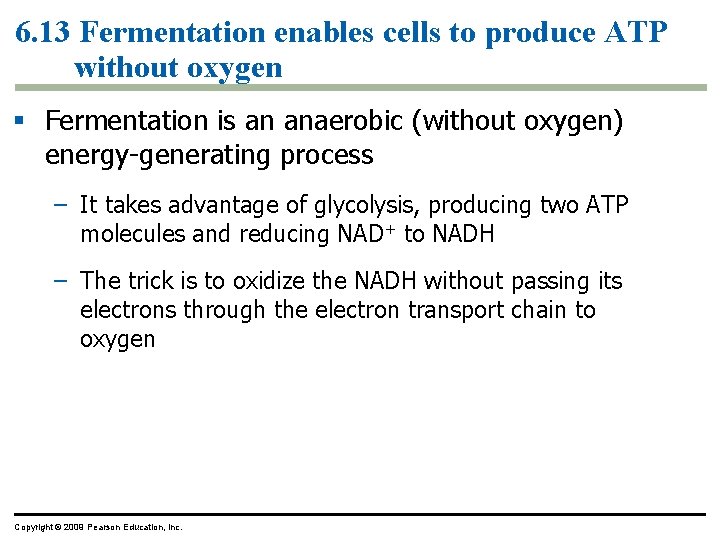 6. 13 Fermentation enables cells to produce ATP without oxygen § Fermentation is an