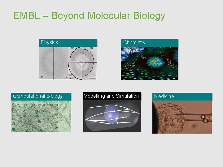 EMBL – Beyond Molecular Biology Physics Computational Biology 1 Chemistry Modelling and Simulation Medicine