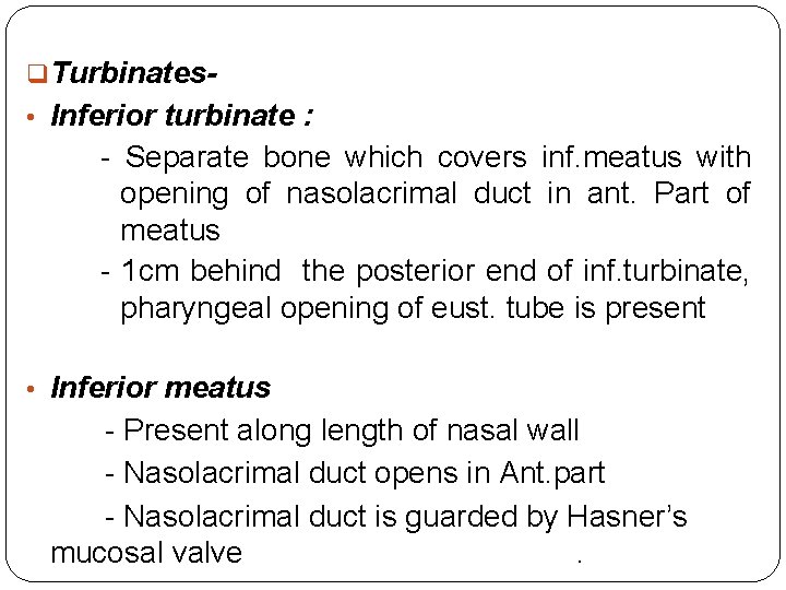 q. Turbinates • Inferior turbinate : - Separate bone which covers inf. meatus with