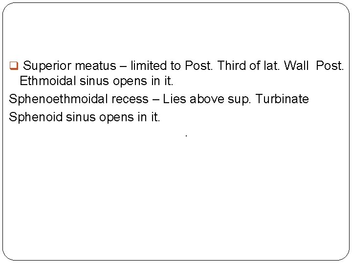 q Superior meatus – limited to Post. Third of lat. Wall Post. Ethmoidal sinus