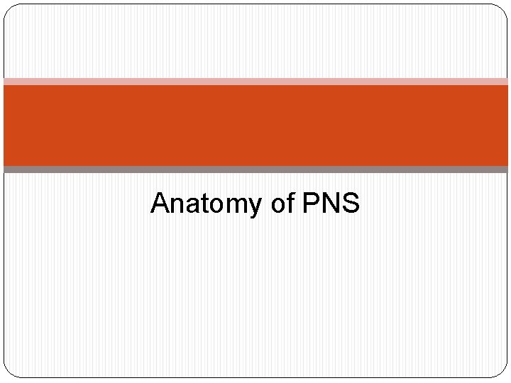 Anatomy of PNS 