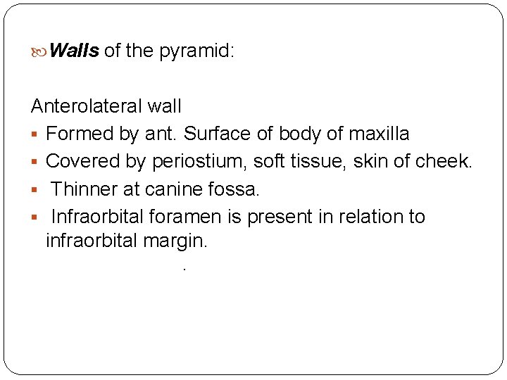  Walls of the pyramid: Anterolateral wall § Formed by ant. Surface of body