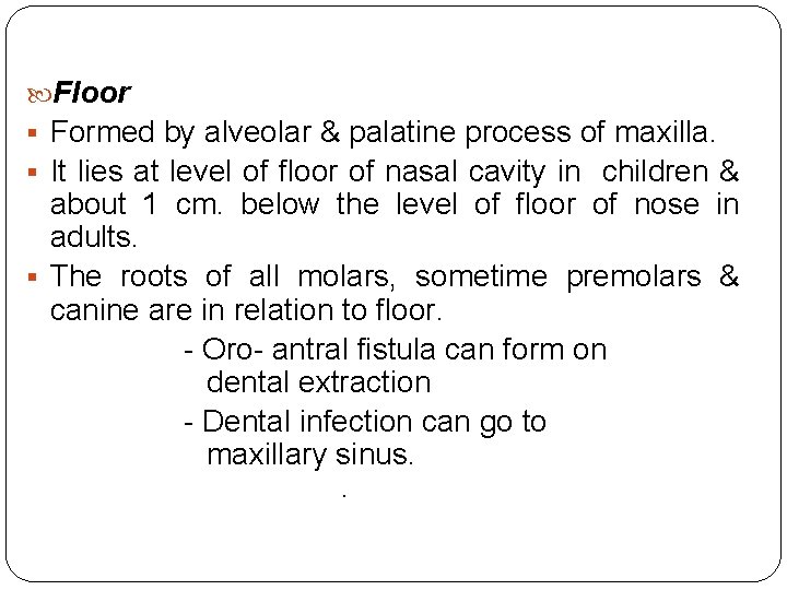 Floor § Formed by alveolar & palatine process of maxilla. § It lies