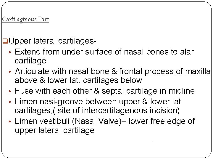 Cartilaginous Part q. Upper lateral cartilages • Extend from under surface of nasal bones