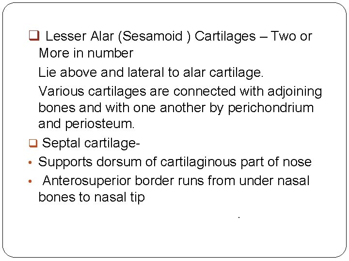 q Lesser Alar (Sesamoid ) Cartilages – Two or More in number Lie above